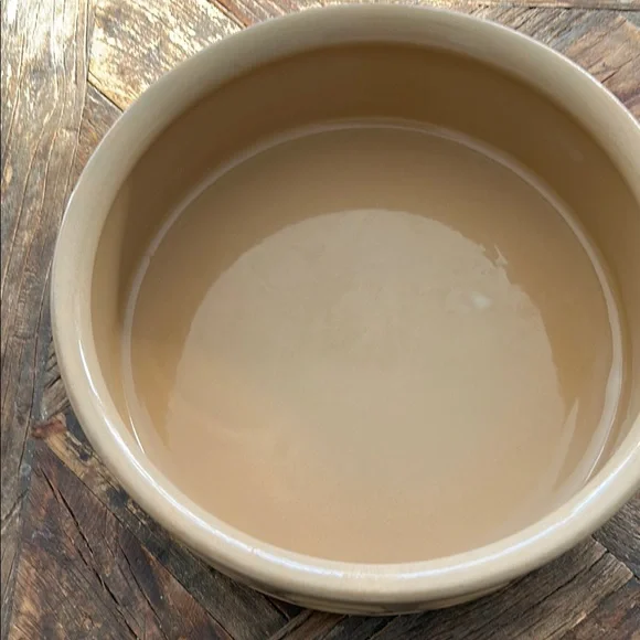 Mason Cash Lettered Dog Bowl - Picture 4 of 5